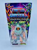 MOTU | Stealth Ninja He-Man | Turtles of Grayskull | OVP